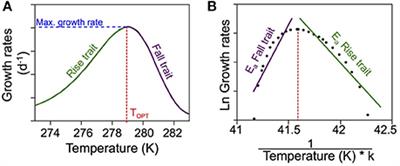 Thermal Thresholds of Phytoplankton Growth in Polar Waters and Their Consequences for a Warming Polar Ocean